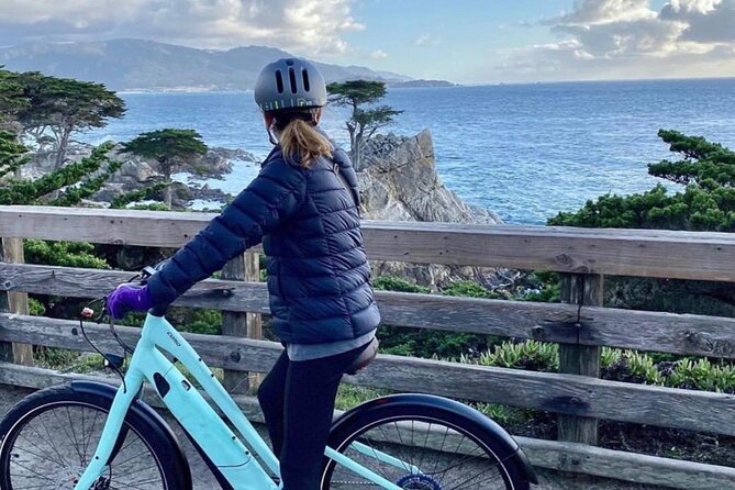 17-Mile Drive Electric Bike Guided Tour - Bird Rock is the best chance for wildlife