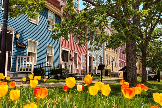 2 Hour E-bike tour of Charlottetown - Key points to know before you book