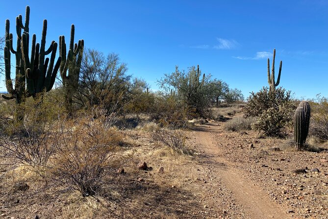 2 Hour Sonoran Desert Private Guided Mountain Bike Tour - A Ride That Changes With Your Ability