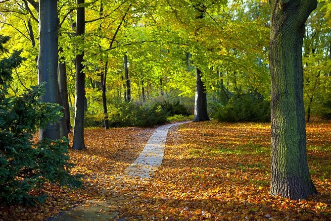 3-Hour Bike Tour of Tiergarten and Berlin's Hidden Places - Key points at a glance