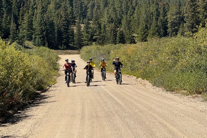 3-Hour E-Bike Tour of Trail of the Silver Kings (Old Mine Tour) - Meeting at 144 East Sixth Street