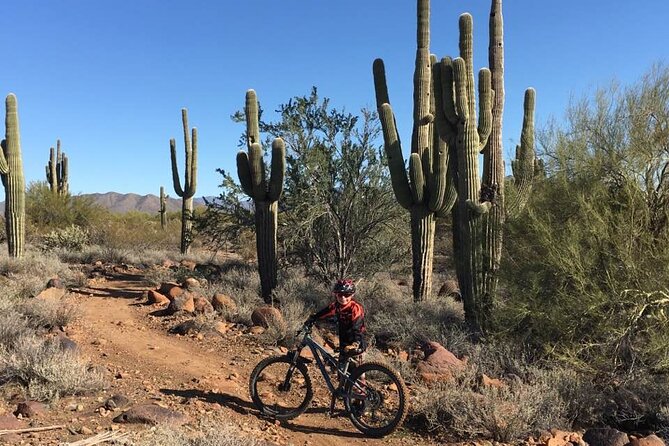 3 Hour Sonoran Desert Private Guided Mountain Bike Tour - Meeting Paul at the Scottsdale Trailhead
