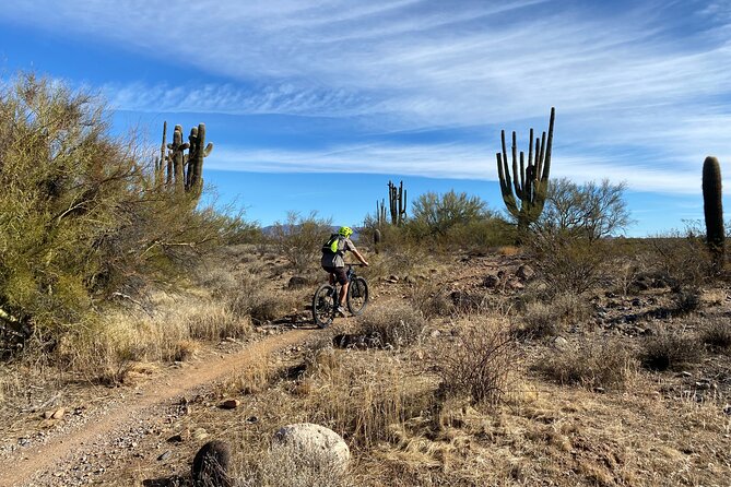3 Hour Sonoran Desert Private Guided Mountain Bike Tour - How the Guide Adjusts the Three-Hour Ride