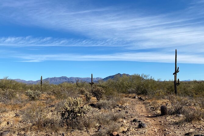 3 Hour Sonoran Desert Private Guided Mountain Bike Tour - Equipment, Water, and Desert Comfort