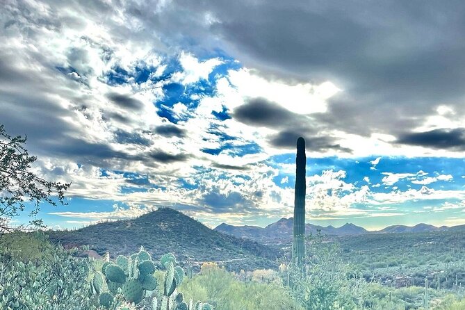 3 Hour Sonoran Desert Private Guided Mountain Bike Tour - Choosing a Bike and Getting Trail-Ready