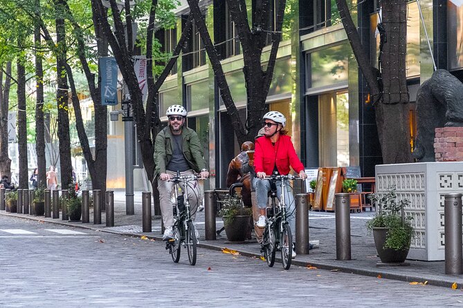 3-Hour Tokyo Private E-Bike Tour Starting from Your Hotel - Key points before you book