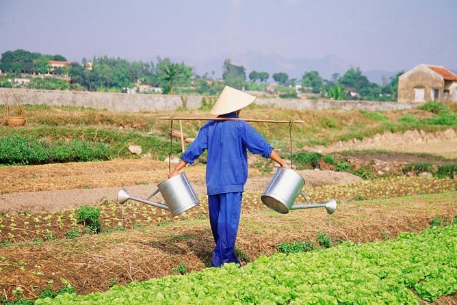 3 Hours Hoi An Countryside Bicycle Tour - Why this short ride works so well