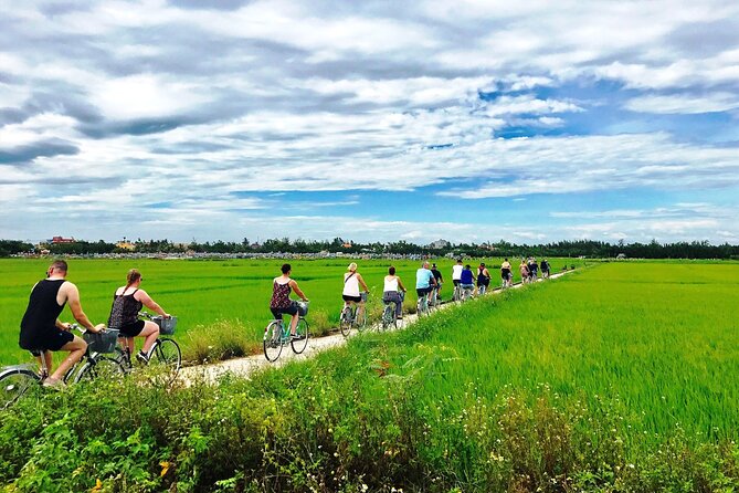 3 Hours Hoi An Countryside Bicycle Tour - Riding past rice fields, farmers, and fish farms