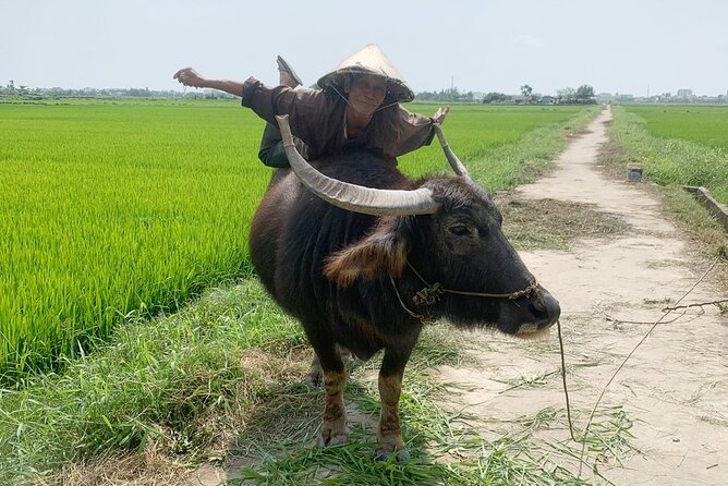 3 Hours Hoi An Countryside Bicycle Tour - Starting at Tra Que Herb Vegetable Village