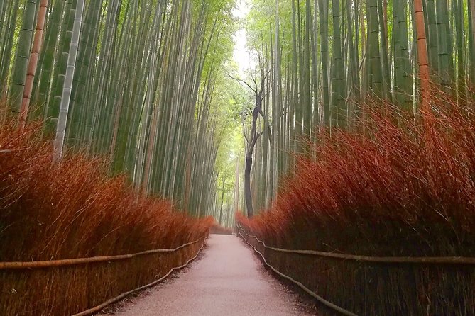 5 Top Highlights of Kyoto Full Day Bike Tour (E-bike option) - Kinkakuji, the Golden Pavilion