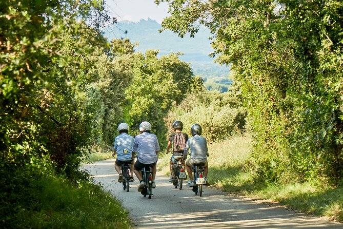 A Tour in Provence in a typical French motorized bike : the Solex - Notre Dame d’Aubune and its medieval garden