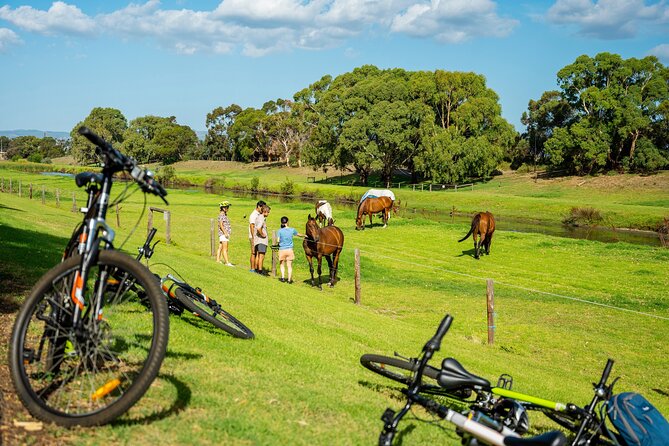 Adelaide City to Sea Bike Tour - What the Guide Adds