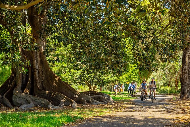 Adelaide City to Sea Bike Tour - Adelaide’s Riverbank Precinct Comes First