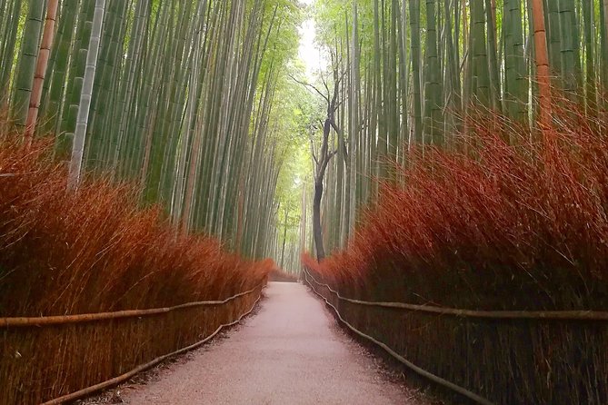 Afternoon Kyoto Bike Tour: Bamboo Forest, Monkeys & Hidden Spots - Bamboo Forest Street and the sound of Arashiyama