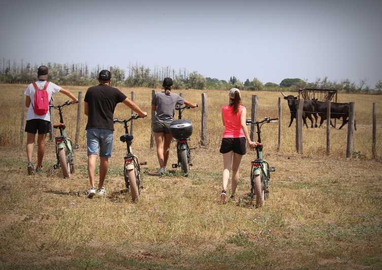 Aigues Mortes: safari en vélo - Ebike tour in Camargue - Key points to know before booking