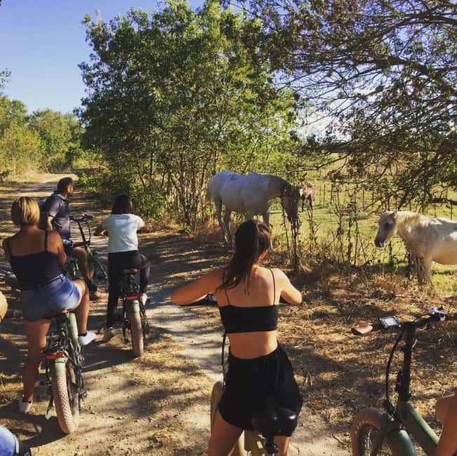 Aigues Mortes: safari en vélo - Ebike tour in Camargue - Setting out from Aigues Mortes