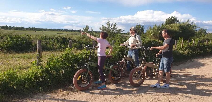 Aigues Mortes: safari en vélo - Ebike tour in Camargue - Who will enjoy this ride most?