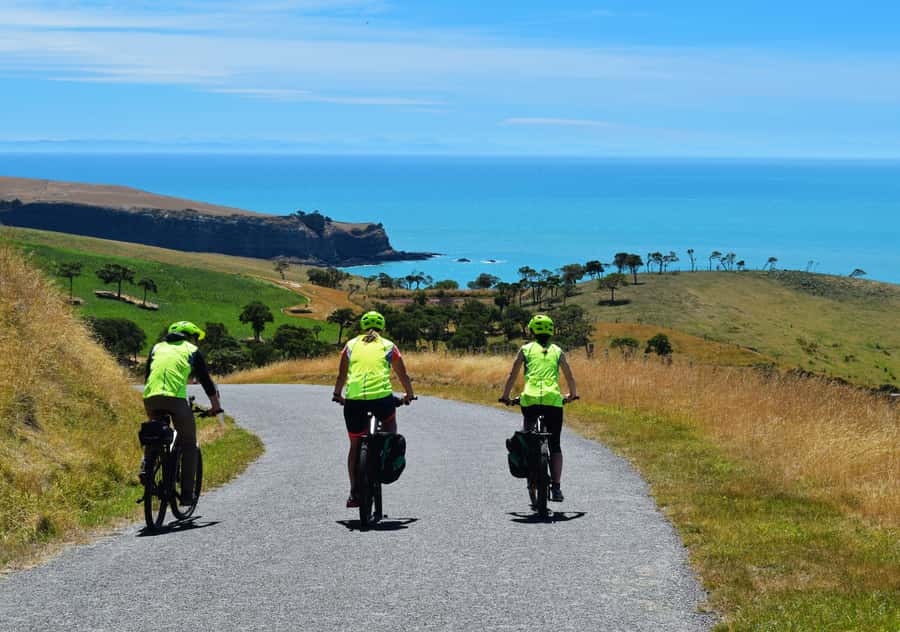 Akaroa: Guided Electric Mountain Bike Tour-Lava Loop - Key points to know before you book
