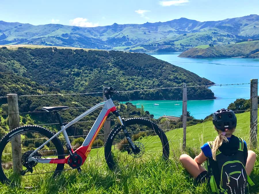 Akaroa: Guided Electric Mountain Bike Tour-Lava Loop - The climb to the crater rim