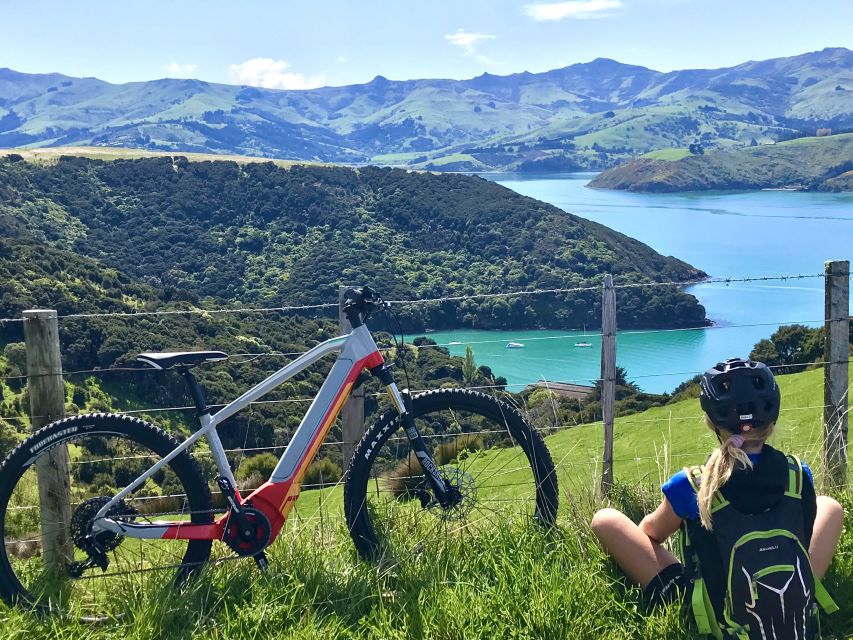 Akaroa: Guided Electric Mountain Bike Tour-Lava Loop - The guides make a real difference