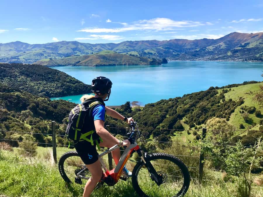 Akaroa: Guided Electric Mountain Bike Tour-Lava Loop - Is $104 a fair price?