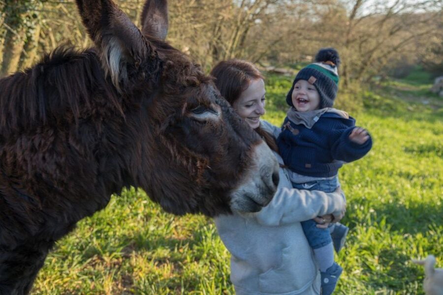 Alberobello: Guided e-bike tour + mill & donkey farm - Why Rocco makes a difference