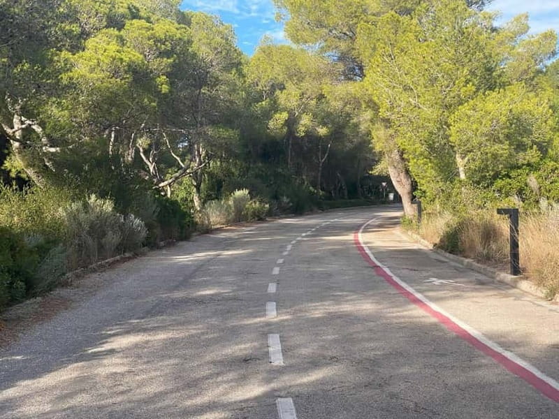 Albufera Bike Adventure: Wetlands, Beaches & Biodiversity - The church and Estanco del Pujol