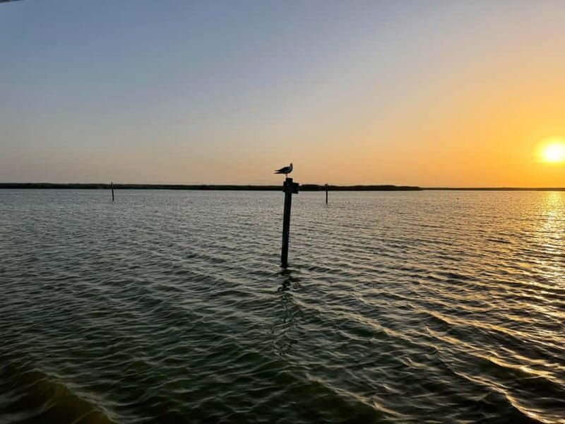 Albufera Bike Adventure: Wetlands, Beaches & Biodiversity - Pinedo, La Garrofera, and El Saler by bike