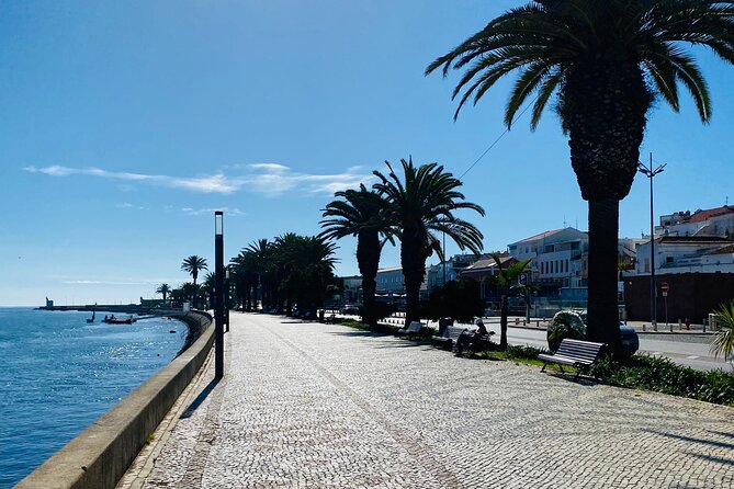 Algarve: Lagos Sightseeing guided Tour with e-bikes - From Lagos town to the Old Castle and Bandeira Fort