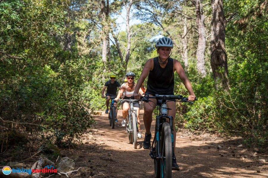 Alghero: E-bike tour inside the Natural Park of Porto Conte - The beach route: Lazzaretto, Cala Bramassa, and Le Bombarde