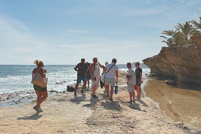 Alicante E-Bike Coast Tour with Román Fishpond and Snorkeling - How Much Value Do You Get for $42.15?