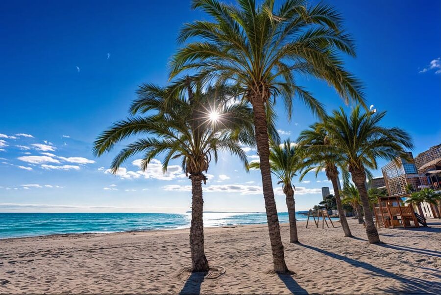 Alicante: Spot the Mediterranean by E-bike - Riding from the city toward Alicante’s quieter coast