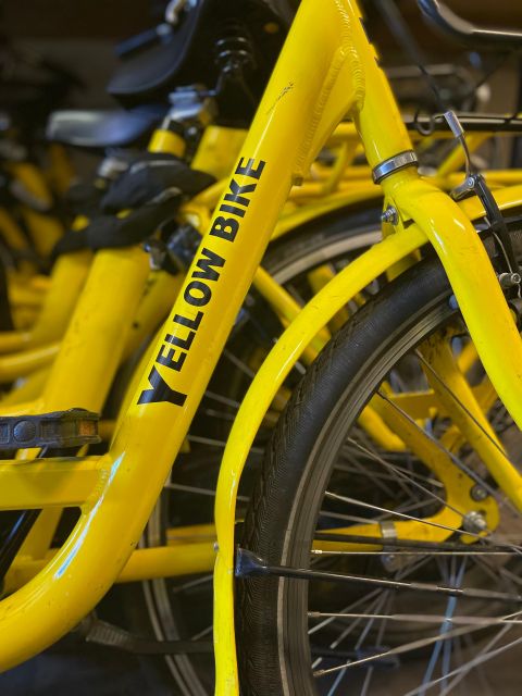 Amsterdam Bike Rental: Central Station & City Center - Timing your rental for the best day