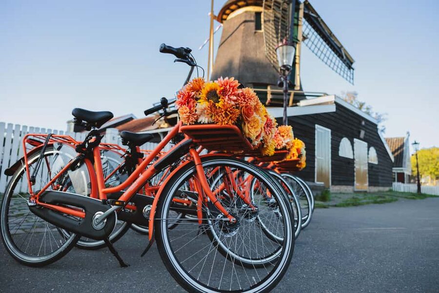 Amsterdam: Cheese Tasting, Windmill & Countryside Bike Tour - The ferry ride and the final return