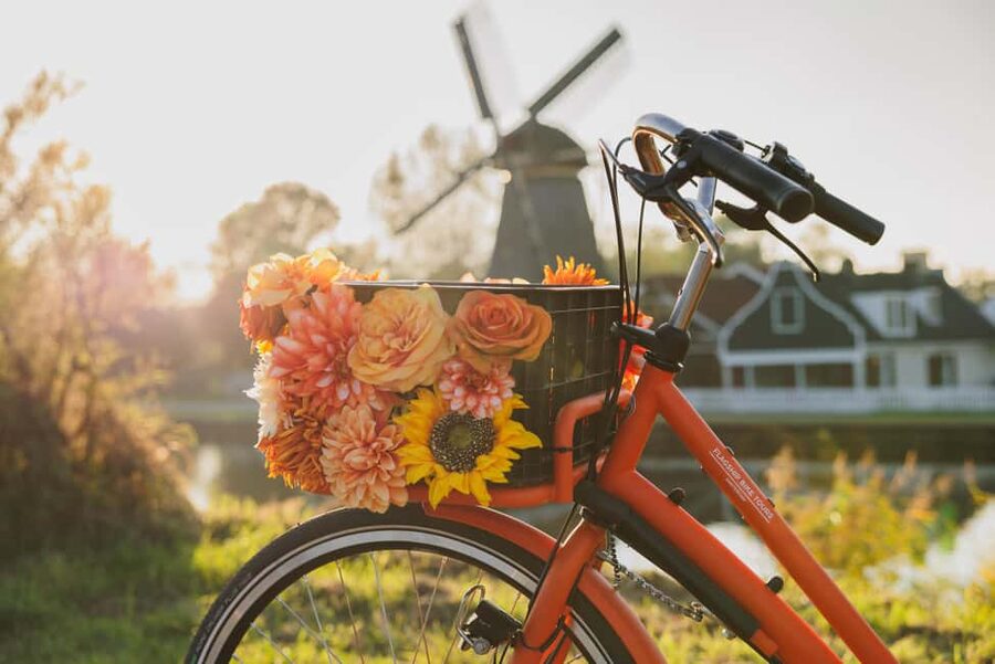 Amsterdam: Cheese Tasting, Windmill & Countryside Bike Tour - Is $46 a fair price?