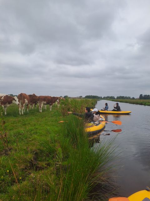 Amsterdam: Countryside Bike and Kayak Guided Tour - The Details That Matter Most