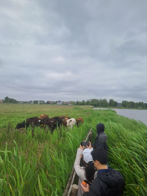 Amsterdam: Countryside Bike and Kayak Guided Tour - Starting at A’DAM Lookout in Amsterdam-Noord
