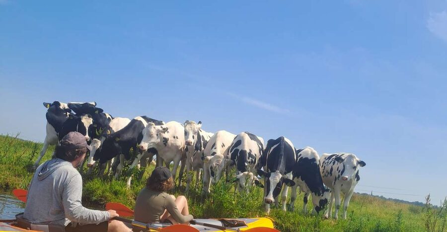 Amsterdam: Countryside Bike and Kayak Guided Tour - Kayaking Through Broek in Waterland
