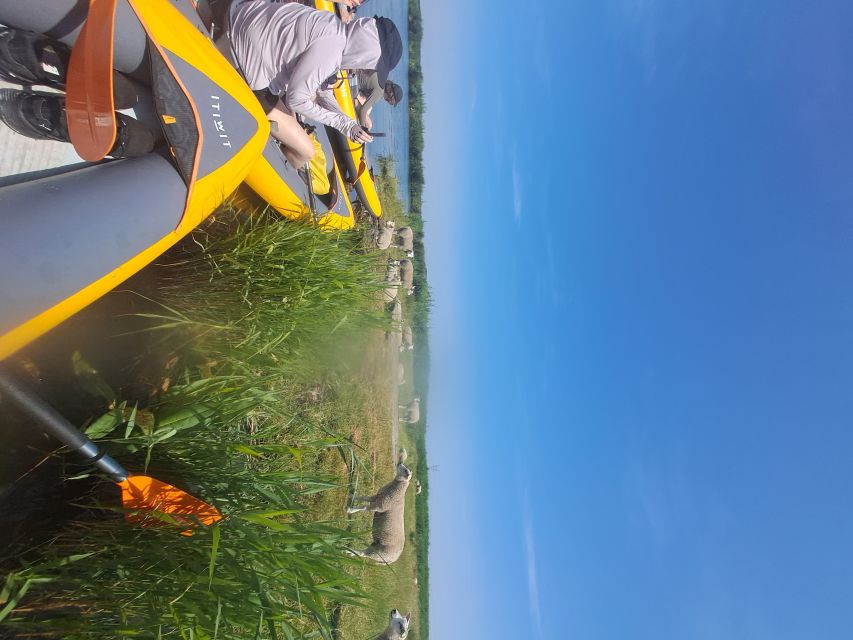 Amsterdam: Countryside Bike and Kayak Guided Tour - How Tristan Shapes the Experience
