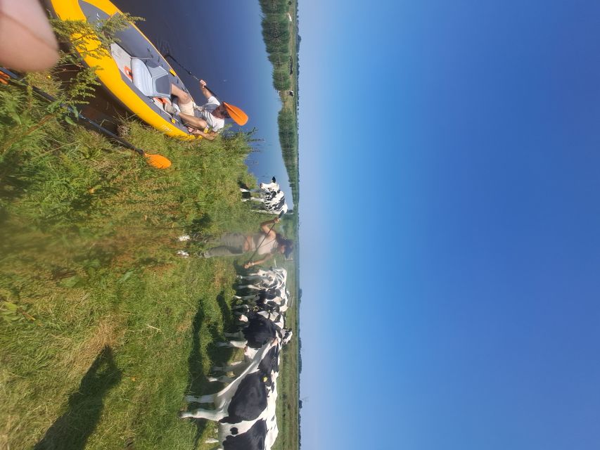 Amsterdam: Countryside Bike and Kayak Guided Tour - Is $84 a Fair Price?