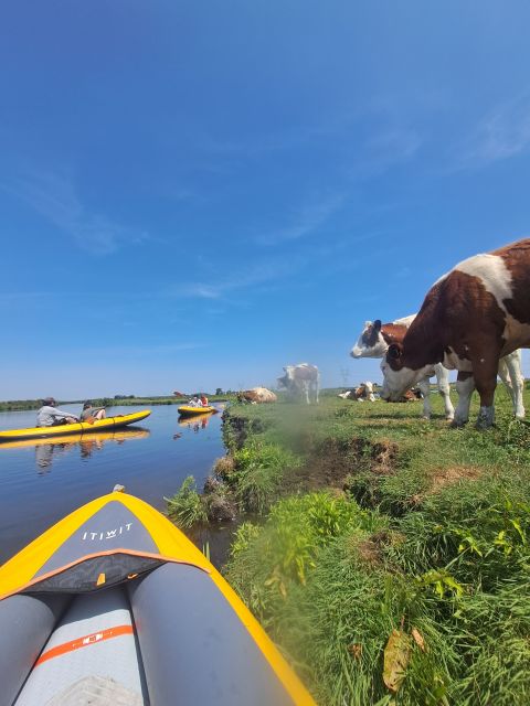 Amsterdam: Countryside Bike and Kayak Guided Tour - Who Will Enjoy This Tour Most?