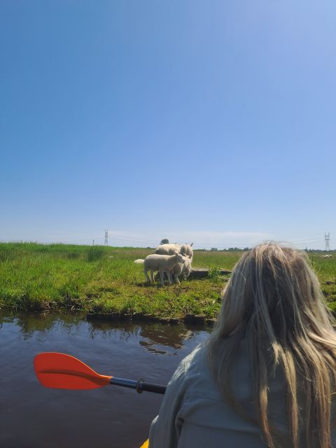 Amsterdam: Countryside Bike and Kayak Guided Tour - Cycling Toward d’Admiraal Windmill