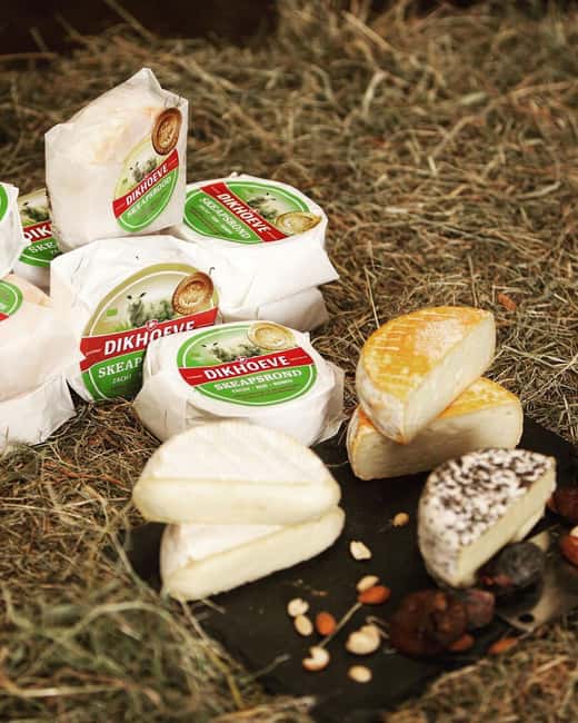 Amsterdam: E-Bike, Cheese, Windmill & Countryside Tour - The farm visit, cheese, milk, and animals