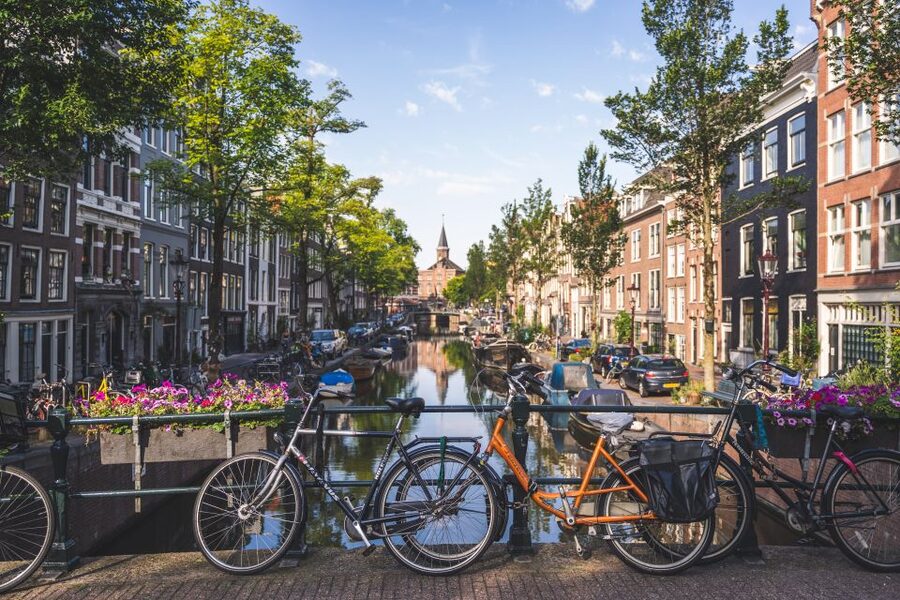 Amsterdam full day tour: Walking, Biking & Cruising - Should you book this tour?