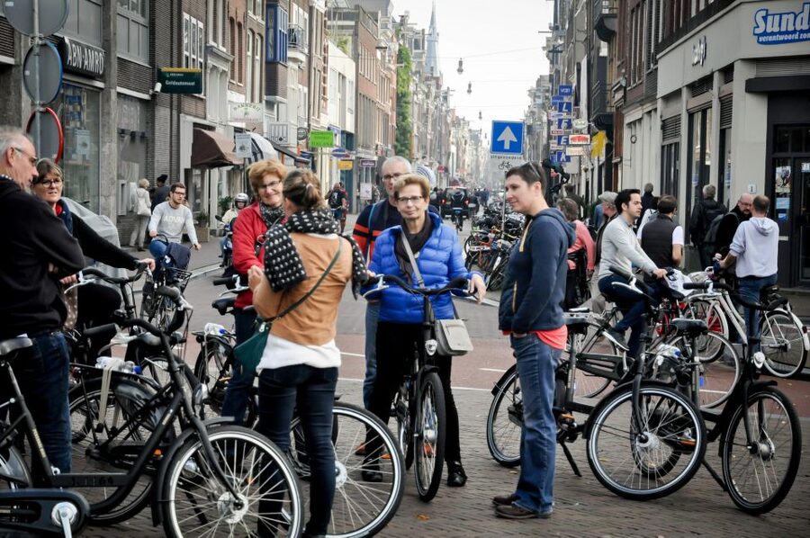 Amsterdam: Guided City Bike Tour in French - Plantage, Entrepotdok, and the Museum Quarter