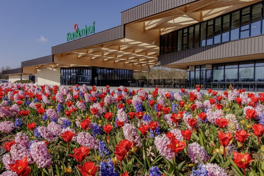 Amsterdam: Half-Day Flower Fields and Keukenhof Bicycle Tour - Key points to know before you book