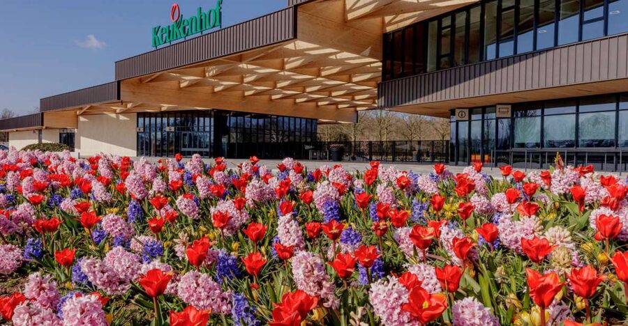 Amsterdam: Half-Day Flower Fields and Keukenhof Bicycle Tour - Why this Amsterdam flower tour works so well