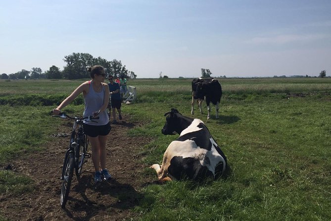 Amsterdam's Countryside Half-Day Bike Tour in Small Group - The Waterland ride and Dutch water control