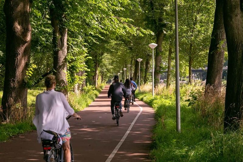 Amsterdam: Windmill, Cheese, and Countryside E-Bike Tour - Key points to know before you book