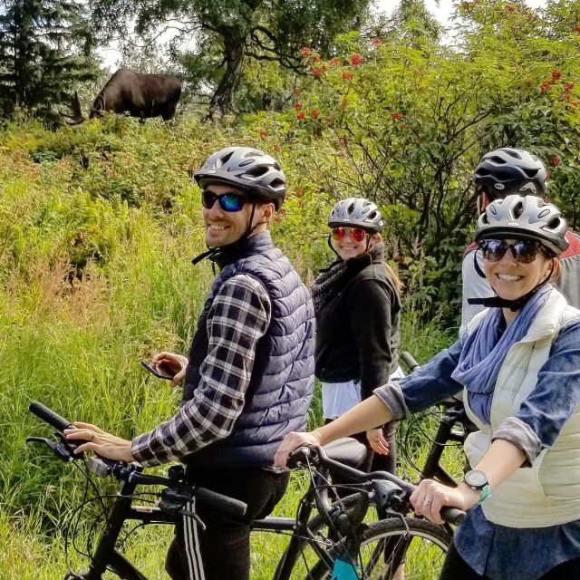 Anchorage: Coastal Trail 3-Hour City Bike Tour - Point Woronzof Park and the open coastal views